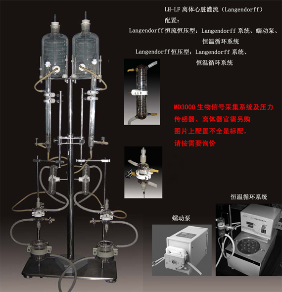 LH-GL离体组织灌流装置,离体心脏灌流系统,离体器管测量系统,离体肠管镇痛恒温装置