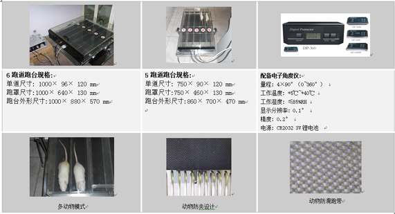 动物实验跑台,动物跑台,动物平板跑步机,LH-PT型动物实验跑台
