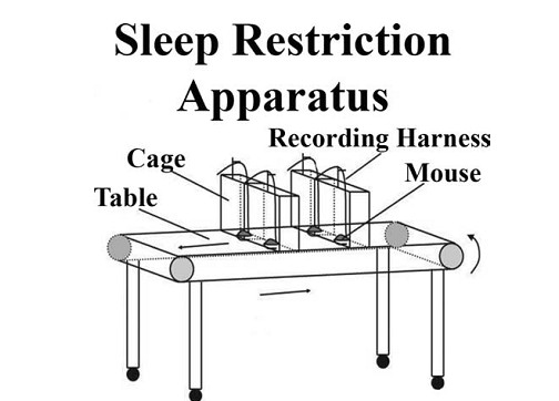 睡眠剥夺装置,LH-PT型睡眠剥夺装置,动物睡眠剥夺装置