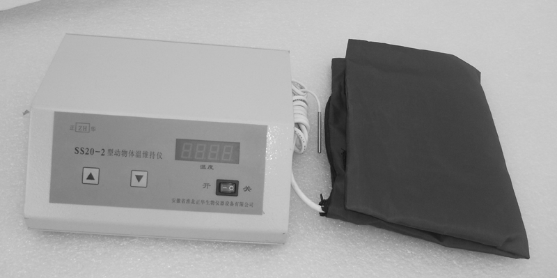 动物体温维持仪,体温维持仪,ss20-2型动物体温维持仪